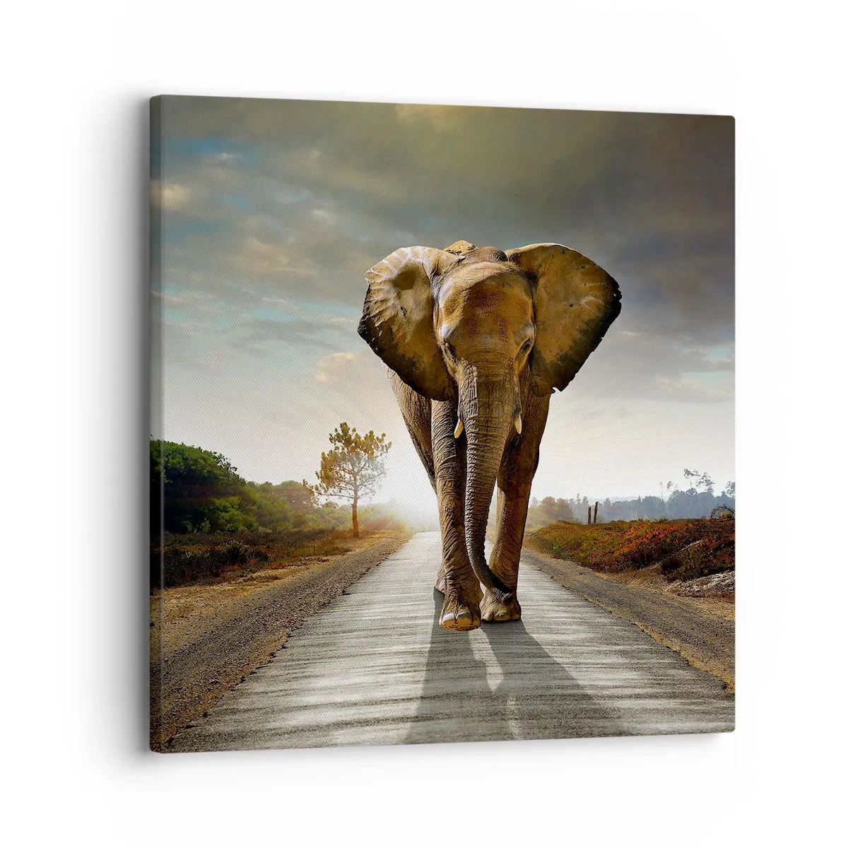 Canvas picture - Not in a China Shop - 30x30 cm