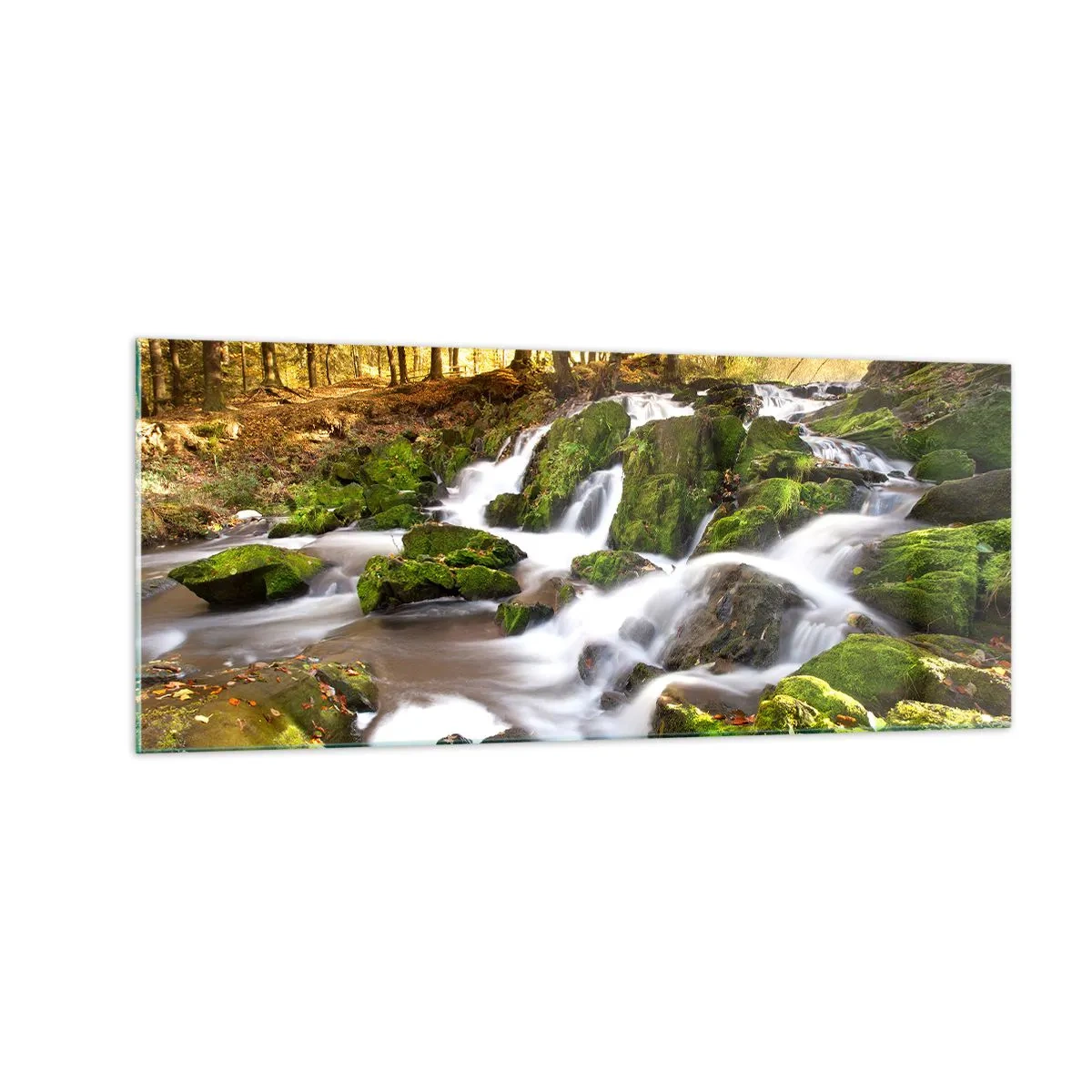 Glass picture - Gingerly through an Autumnal Forest - 100x40 cm