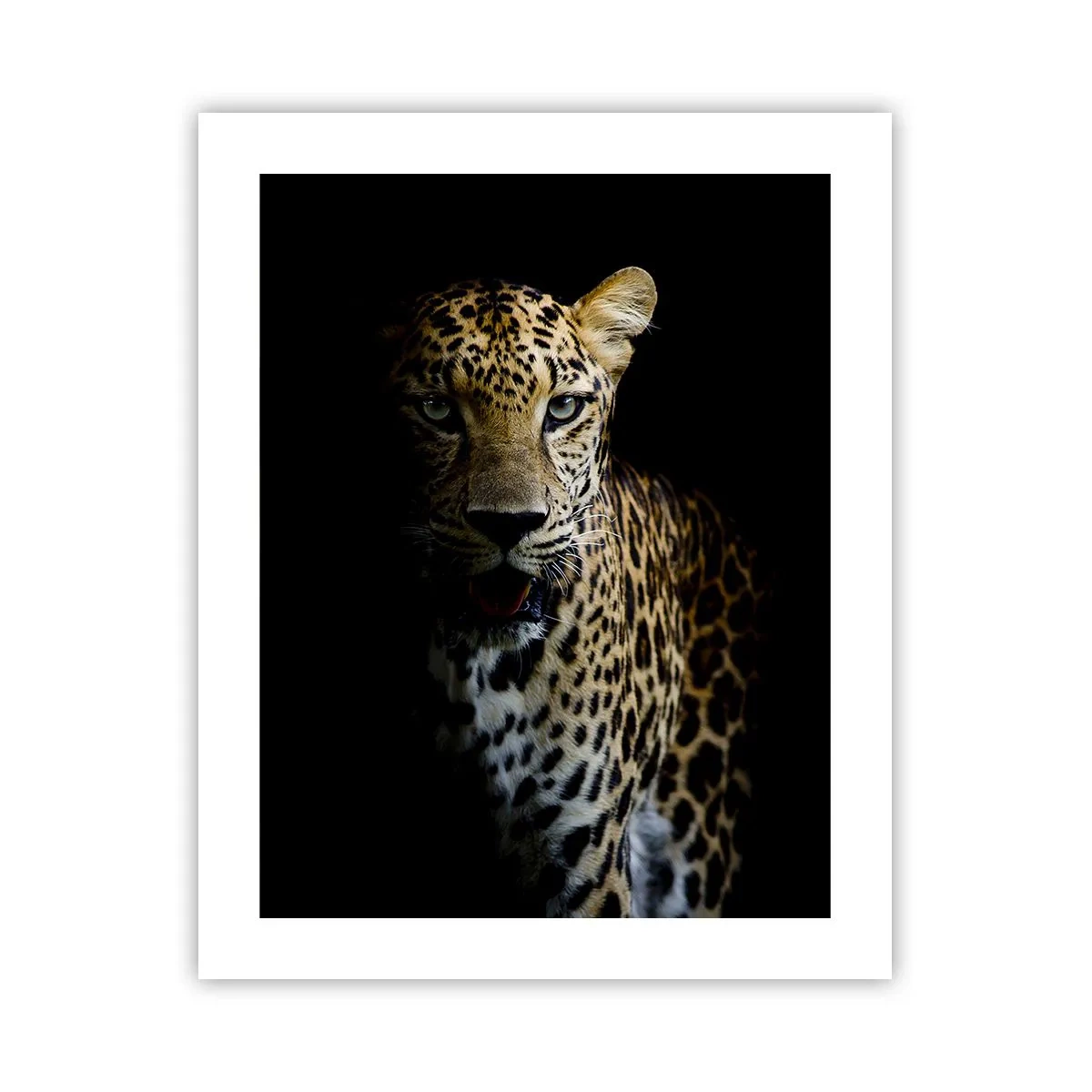 Poster - Dark Beauty - 40x50 cm
