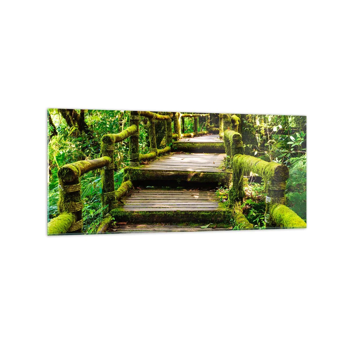 Glass picture - Down the Green Path - 120x50 cm
