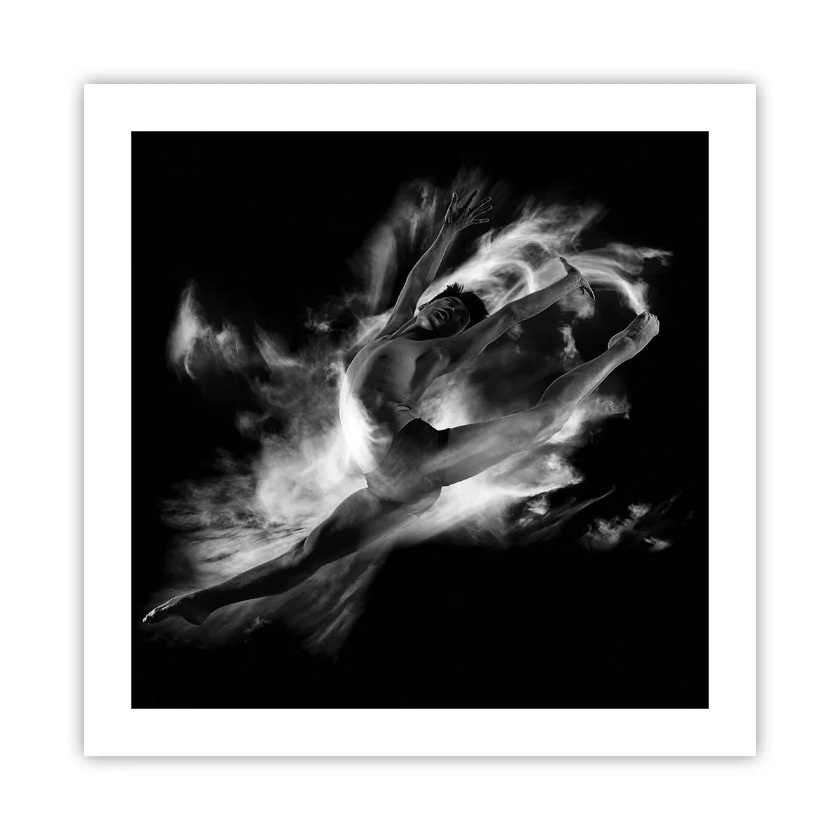 Poster - Stopped i in Flight - 50x50 cm