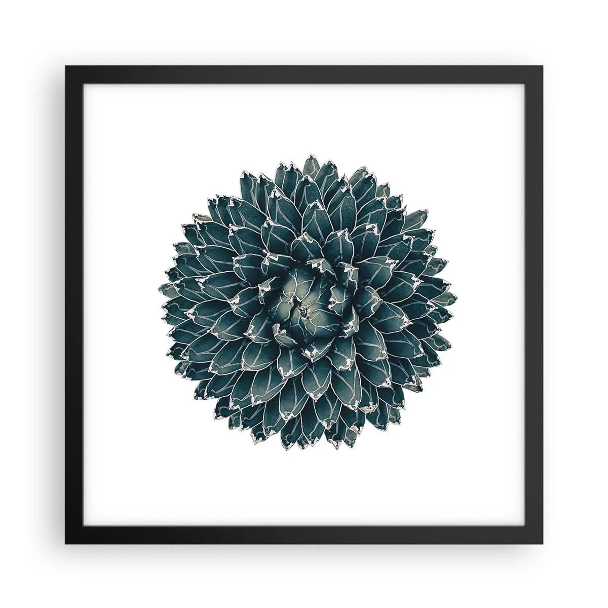 Poster in black frame - Star of the Desert - 40x40 cm
