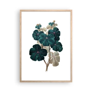 Poster in light oak frame - From the Old Herbarium - 50x70 cm