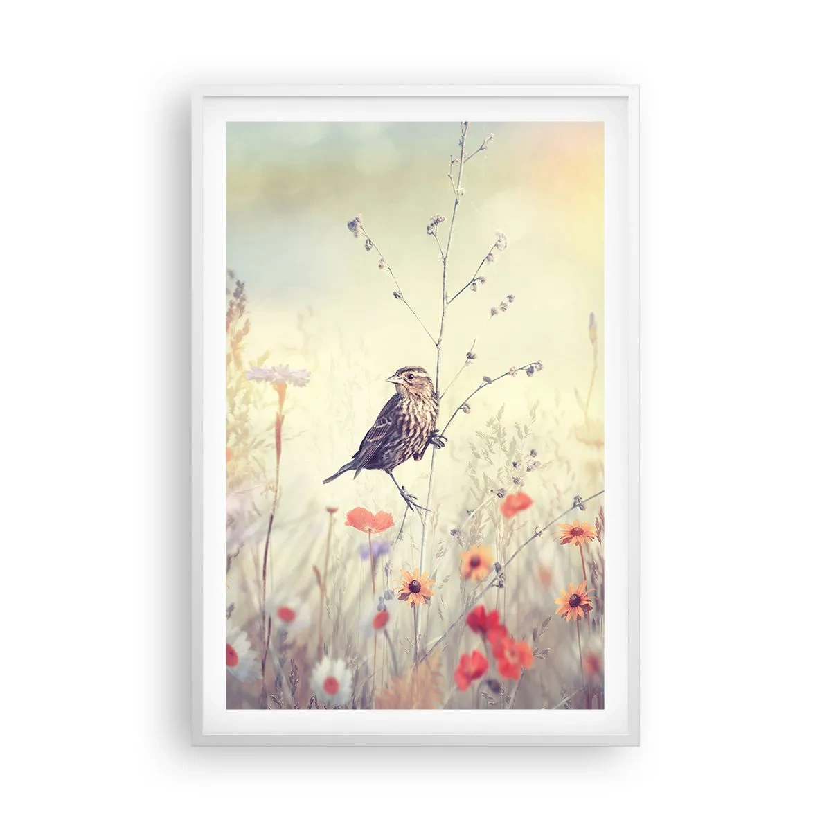 Poster in white frmae - Bird Portrait with a Meadow in the Background - 61x91 cm