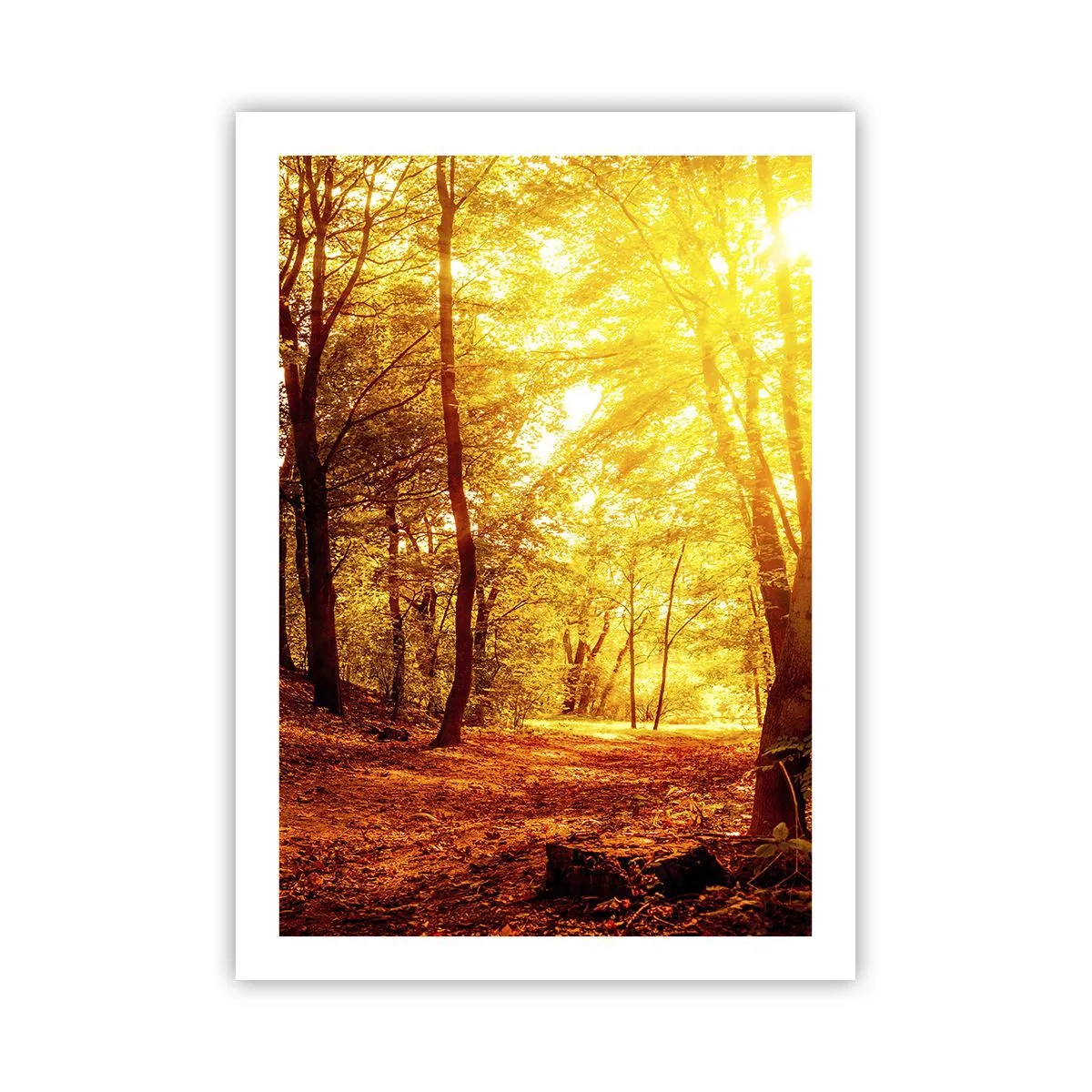 Poster - Towards Golden Plain - 50x70 cm
