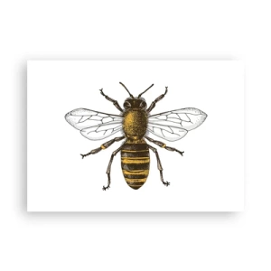 Poster - Beautiful and Good - 100x70 cm