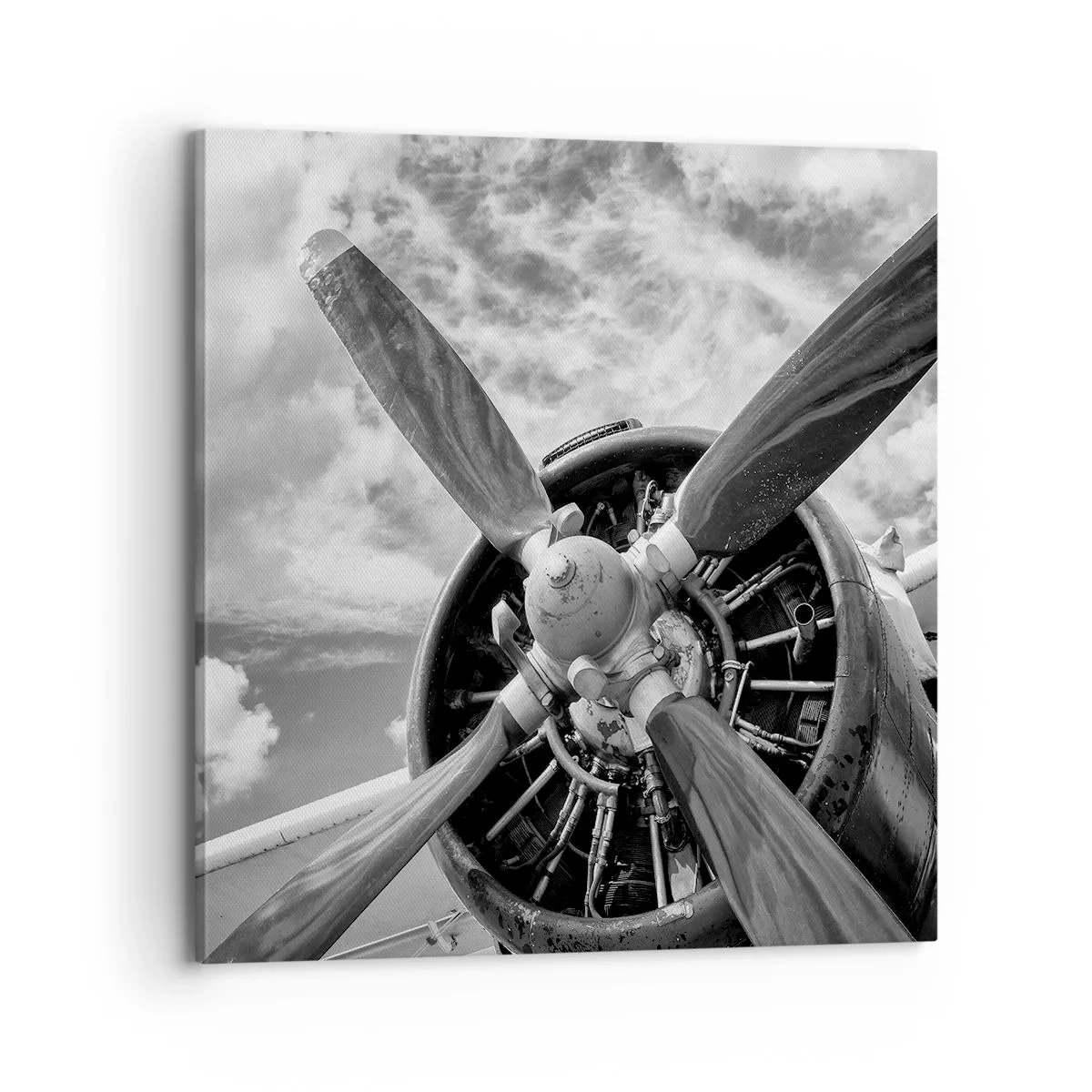 Canvas picture - Conquerer of the Skies - 70x70 cm
