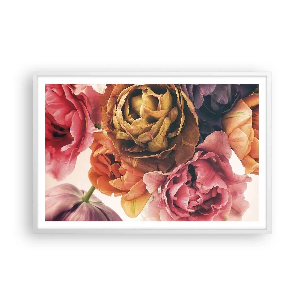 Poster in white frmae - Celebration of Life - 91x61 cm