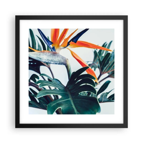 Poster in black frame - Birdy Bush - 40x40 cm