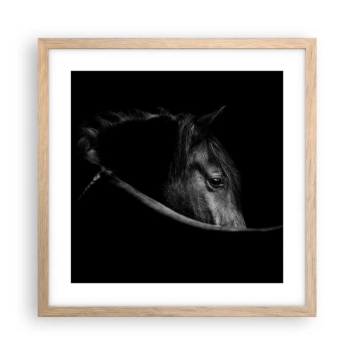 Poster in light oak frame - Black Prince - 40x40 cm