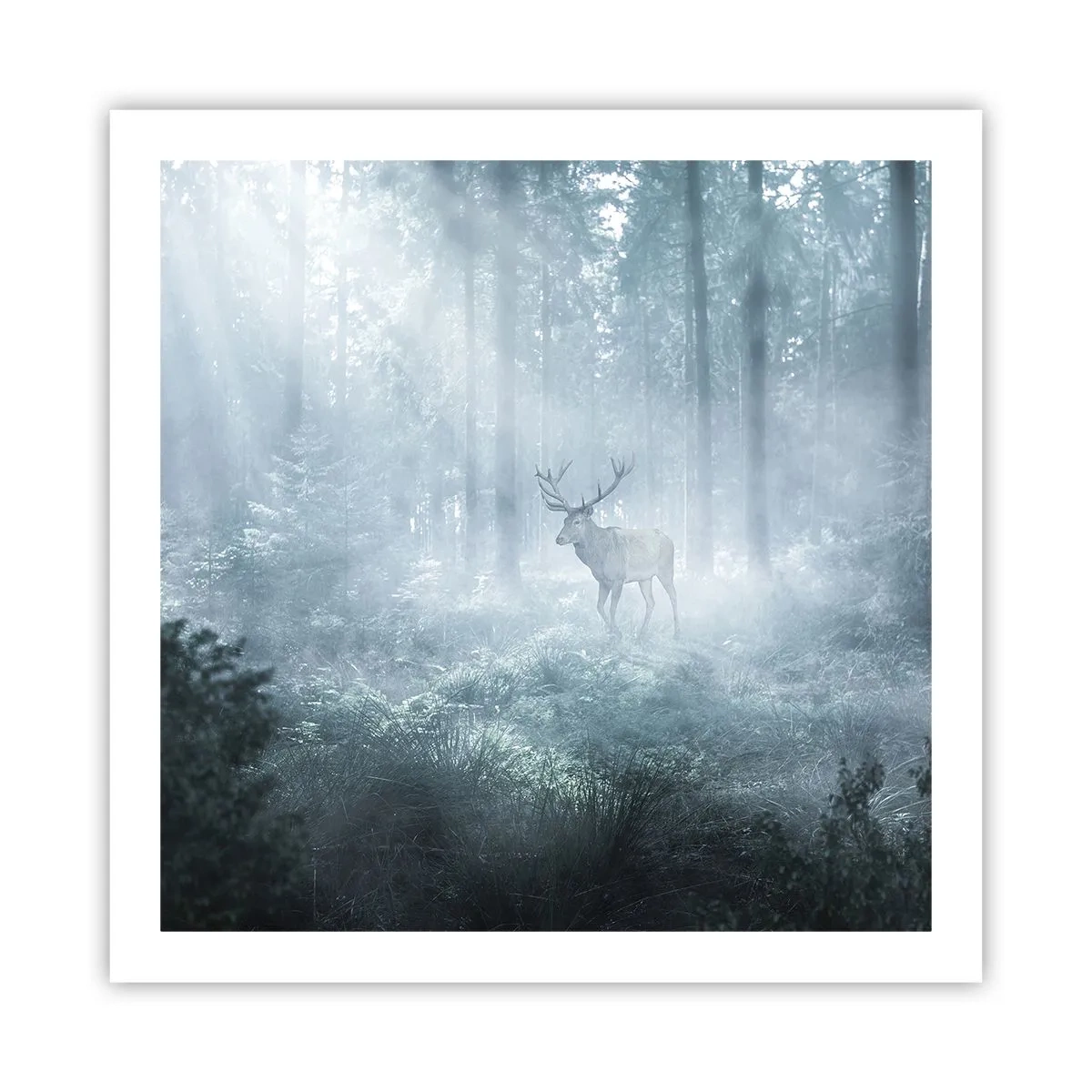 Poster - Morning Round of the Estate - 60x60 cm