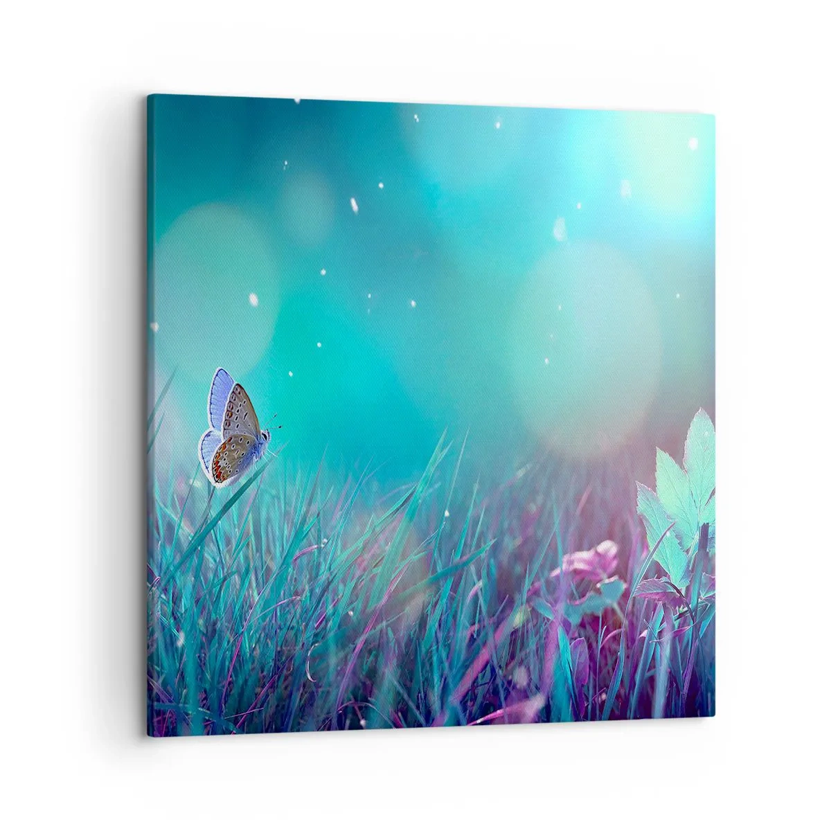 Canvas picture - Secret Life of a Meadow - 50x50 cm