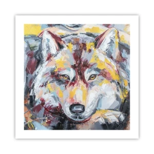 Poster - Wolf Eyes - 50x50 cm