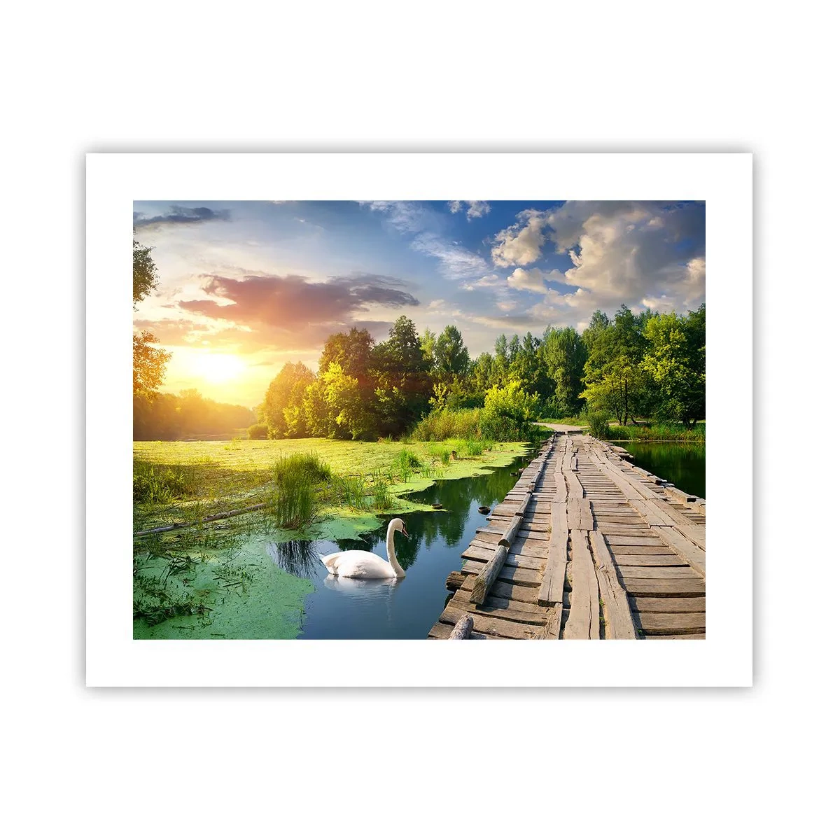 Poster - Summer Everywhere - 50x40 cm