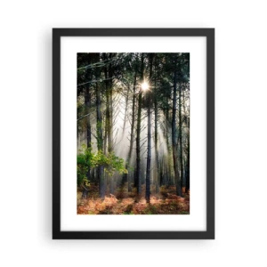 Poster in black frame - Woodland Area - 30x40 cm