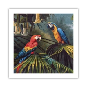 Poster - Romanticism in Tropics - 50x50 cm