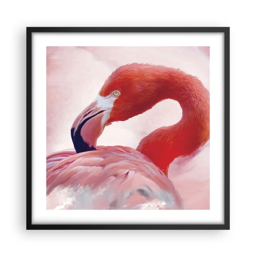 Poster in black frame - Bird Look - 50x50 cm
