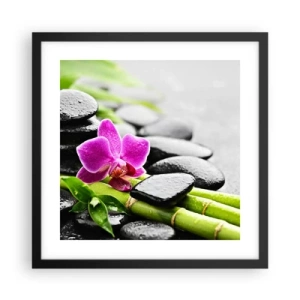 Poster in black frame - In a Peaceful Balance - 40x40 cm