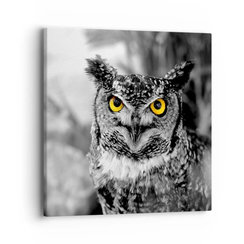 Canvas picture - Nothing Can Hide - 40x40 cm