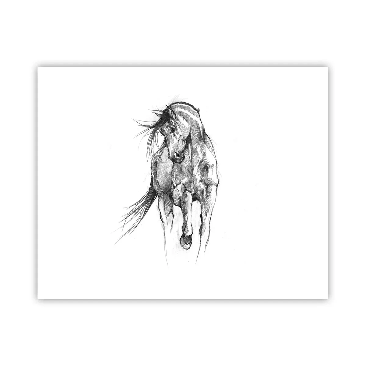 Poster - In a Graceful Trot - 50x40 cm