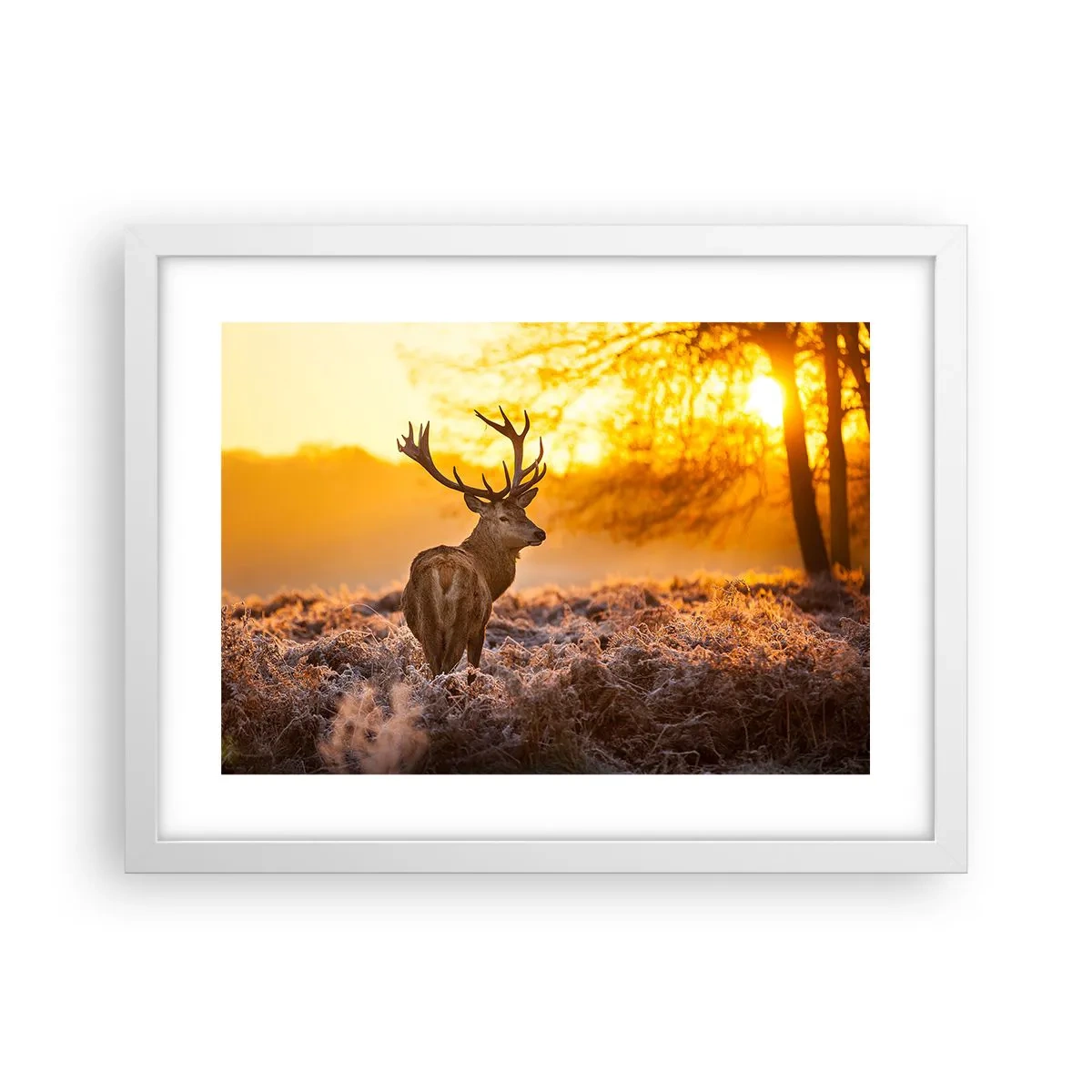 Poster in white frmae - King of Autumnal Forest - 40x30 cm