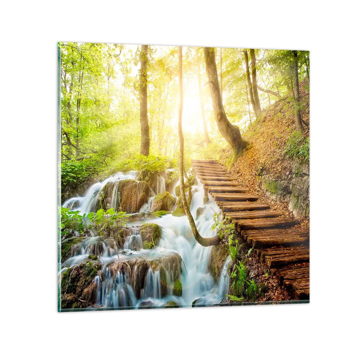 Glass picture - Long Awaited Coolness - 40x40 cm