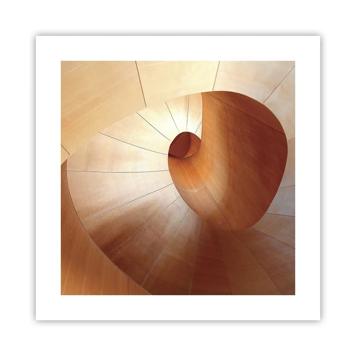 Poster - Architectural Serpentine - 40x40 cm
