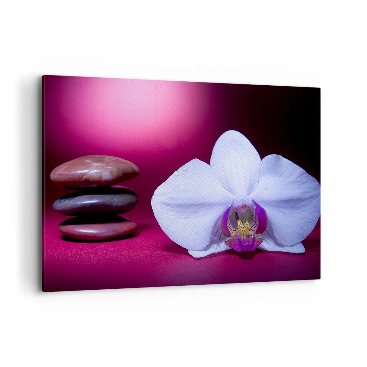 Canvas picture - Study of Freshness in Purple - 100x70 cm