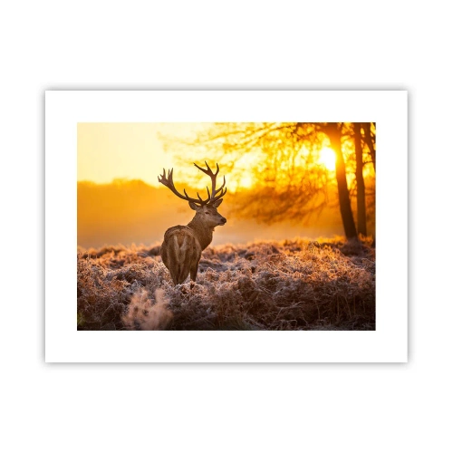 Poster - King of Autumnal Forest - 40x30 cm