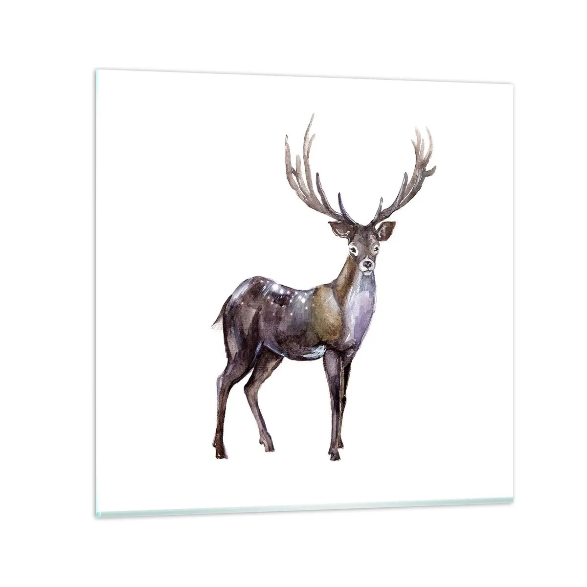 Glass picture - King of Northern Forest - 30x30 cm