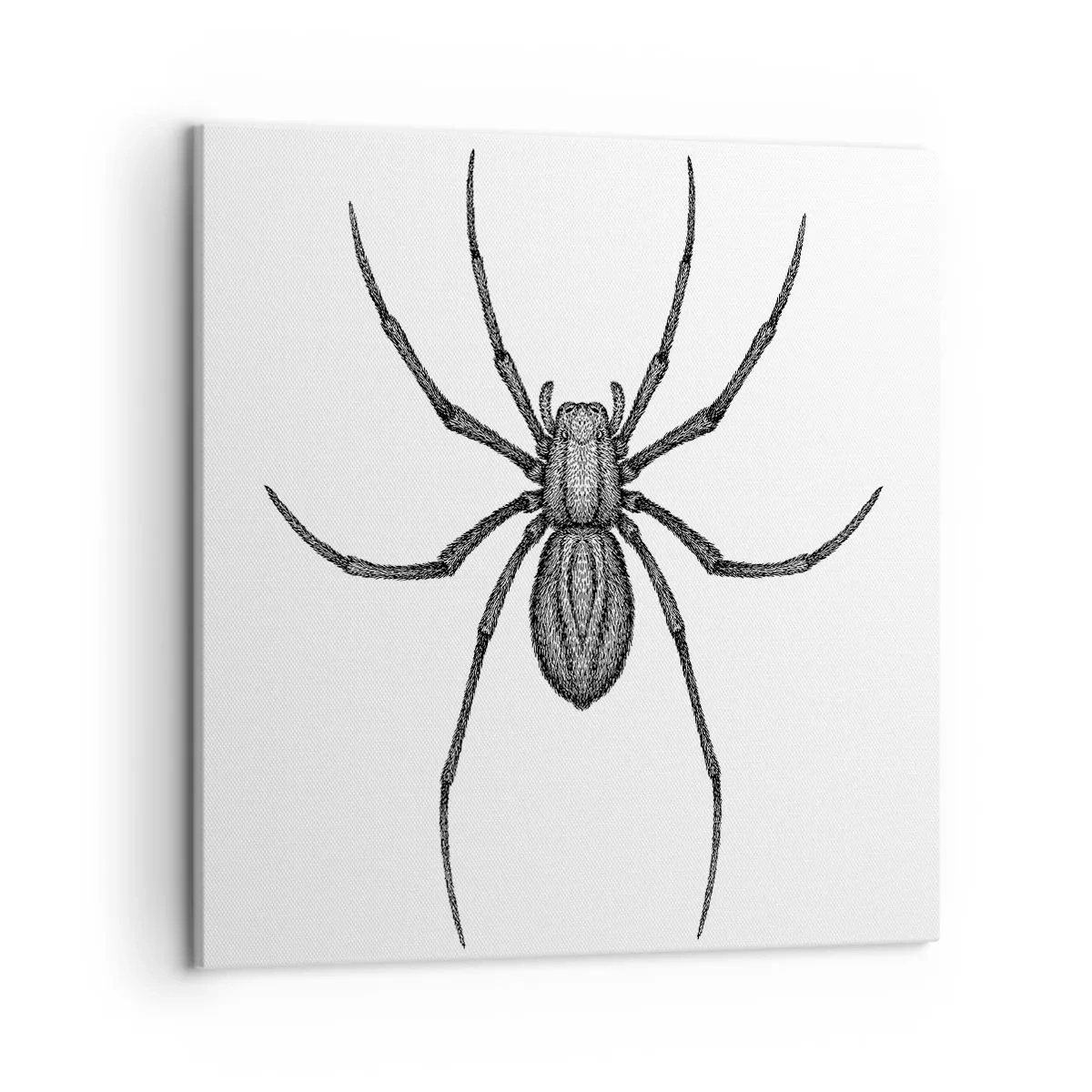 Canvas picture - Disturbing Precision - 50x50 cm