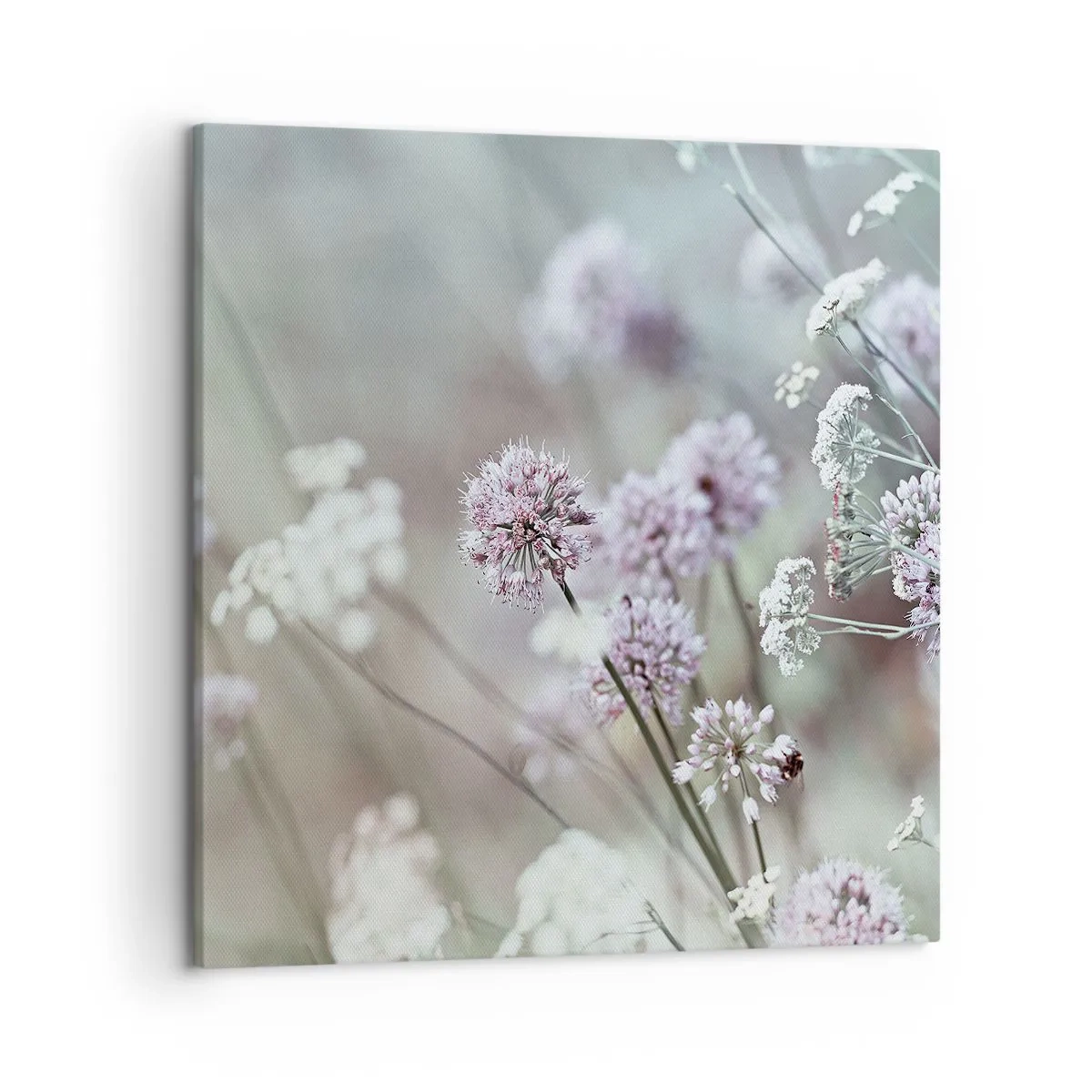 Canvas picture - Sweet Filigrees of Herbs - 50x50 cm