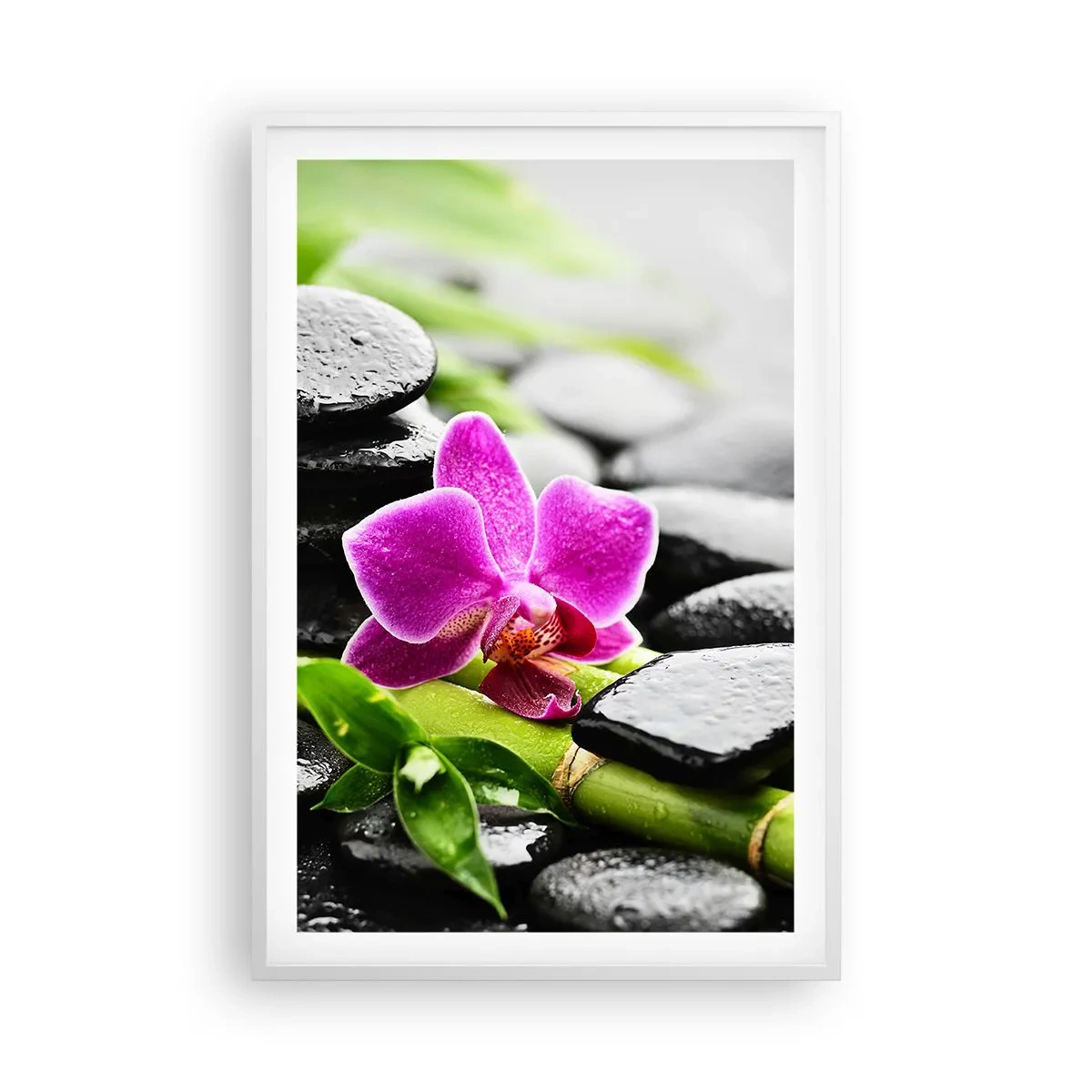 Poster in white frmae - In a Peaceful Balance - 61x91 cm