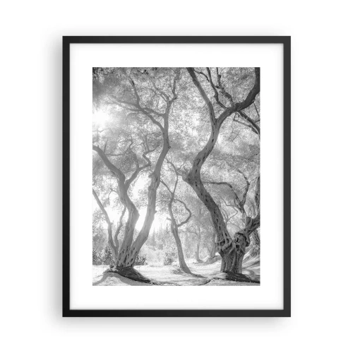 Poster in black frame - In an Olive Grove - 40x50 cm