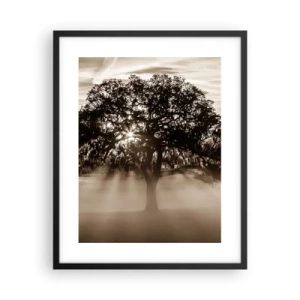 Poster in black frame - Tree of Good Knowledge - 40x50 cm