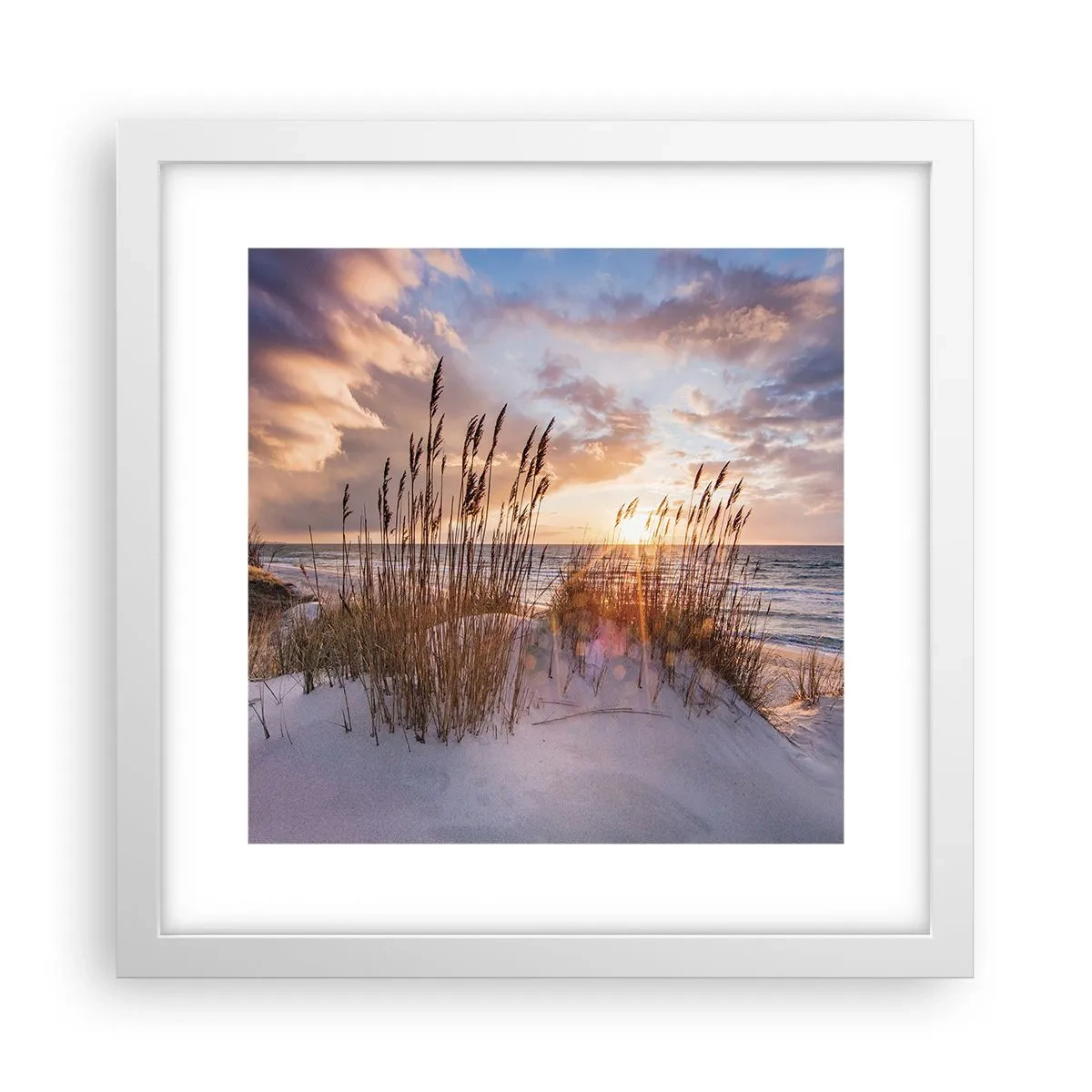 Poster in white frmae - Farewell to the Sun and Wind - 30x30 cm