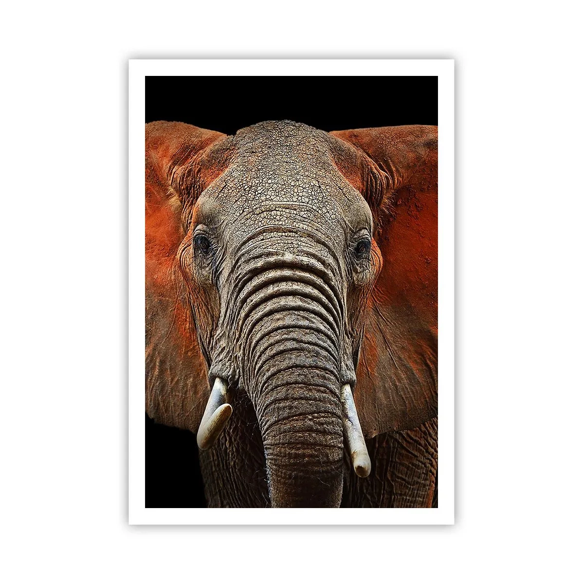 Poster - I am Wild, and You? - 70x100 cm