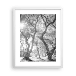 Poster in white frmae - In an Olive Grove - 40x50 cm