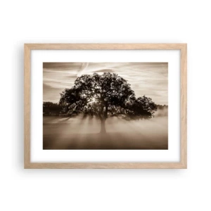 Poster in light oak frame - Tree of Good Knowledge - 40x30 cm