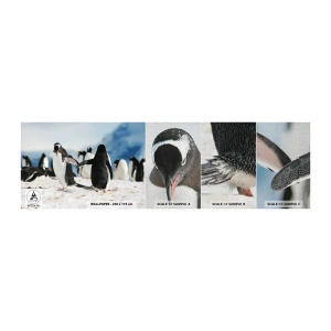 Photo Wallpaper Sample Premium Canvas - Dance in the Snow - Penguin, Antarctica, Landscape - 100x30 cm