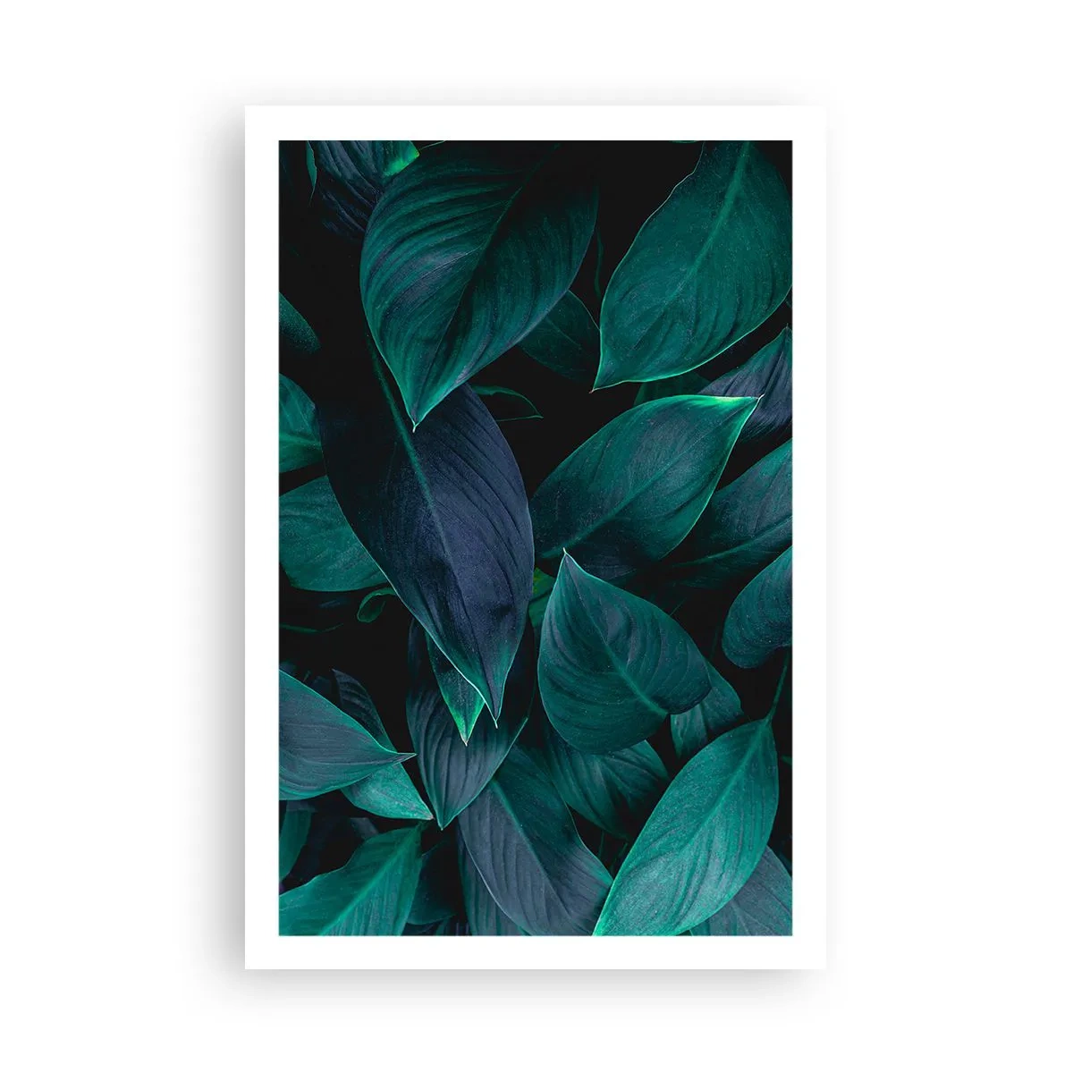 Poster - The Green Itself - 61x91 cm