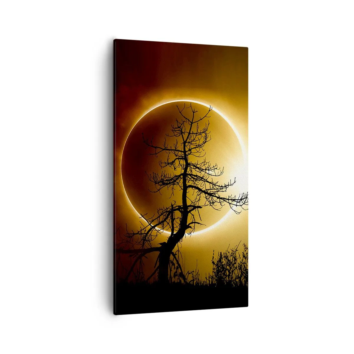 Canvas picture - Total Eclipse - 55x100 cm