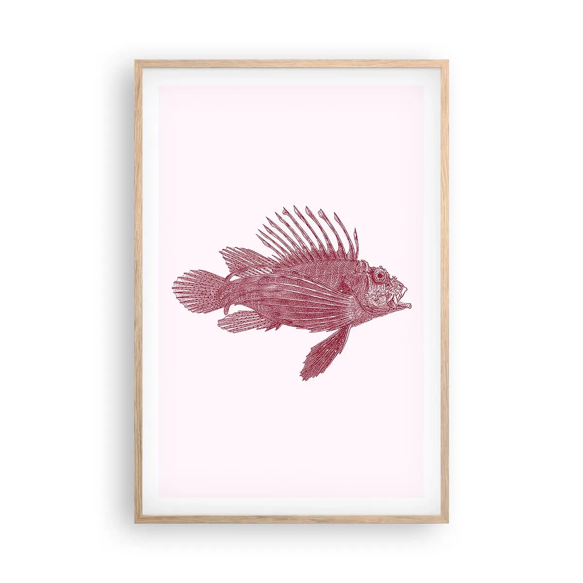 Poster in light oak frame - Dweller of Exotic Waters - 61x91 cm