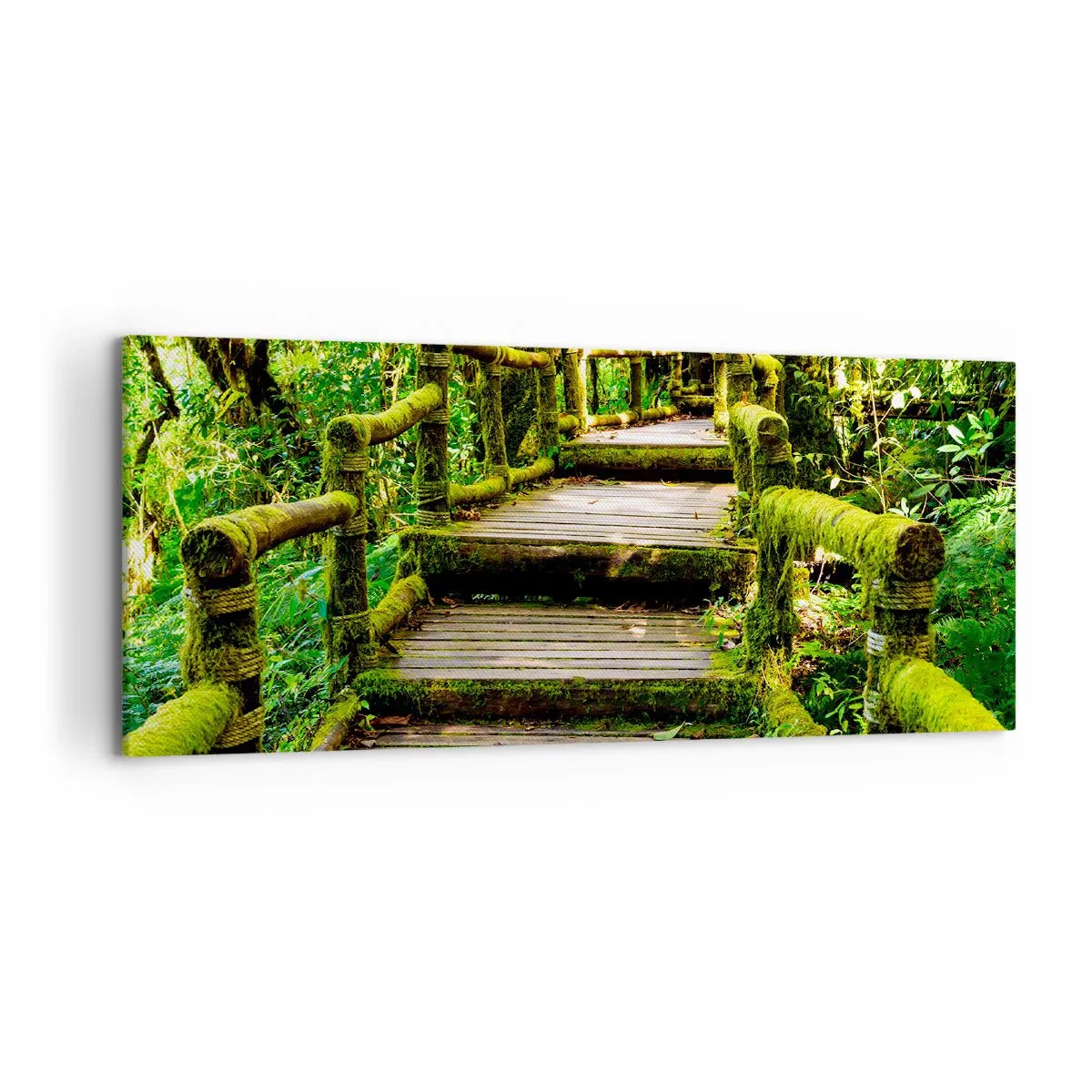Canvas picture - Down the Green Path - 120x50 cm