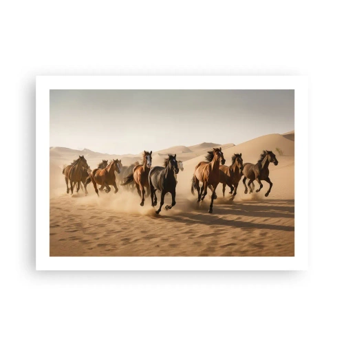 Poster - Free as a Wind - 70x50 cm