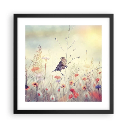 Poster in black frame - Bird Portrait with a Meadow in the Background - 40x40 cm