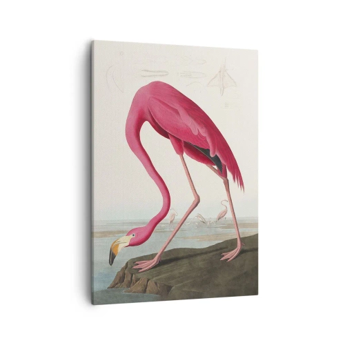 Canvas picture - Curious Creature - 50x70 cm