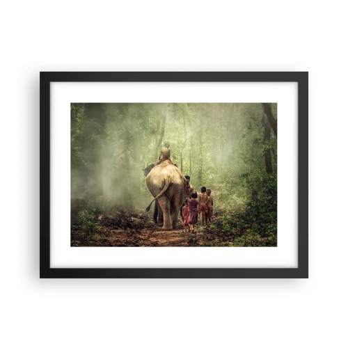 Poster in black frame - New Jungle Book - 40x30 cm
