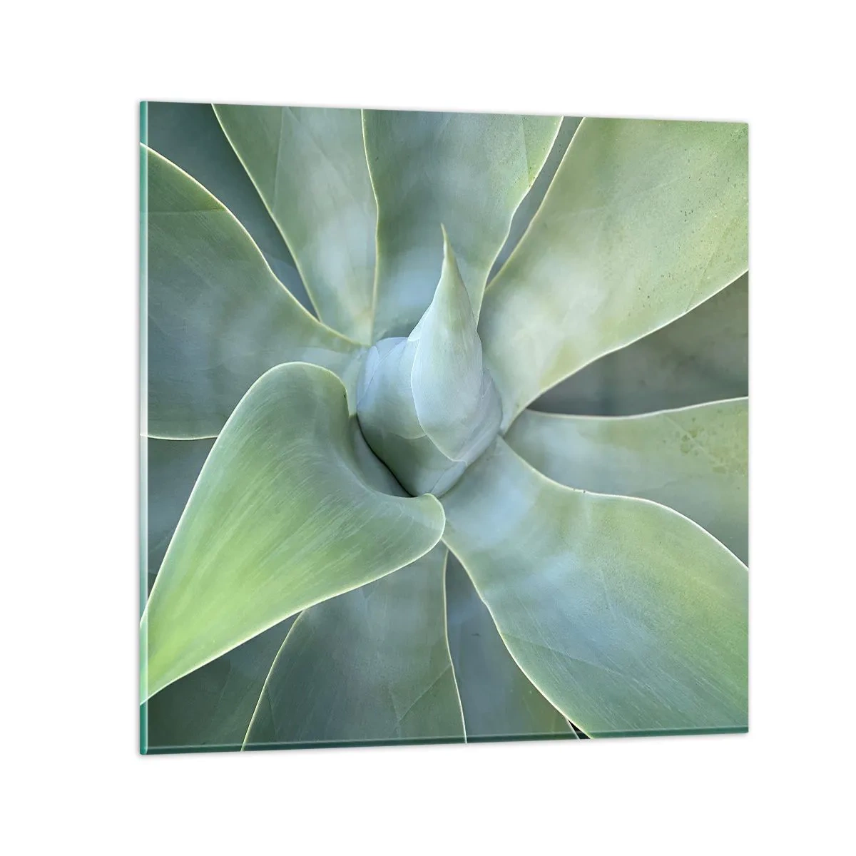 Glass picture - Birth of Green - 70x70 cm