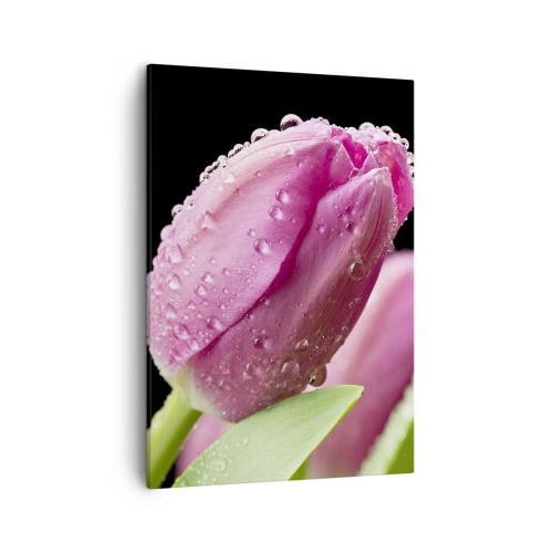Canvas picture - Lilac Dream in a Dew - 50x70 cm
